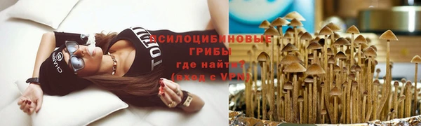 соль ск Магас