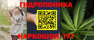 прущие грибы Бузулук