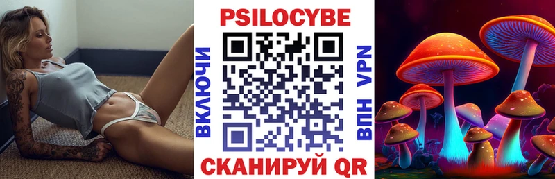 купить   Раменское  Псилоцибиновые грибы Psilocybe 
