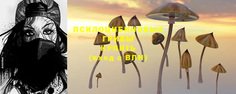 Галлюциногенные грибы Cubensis  Раменское 