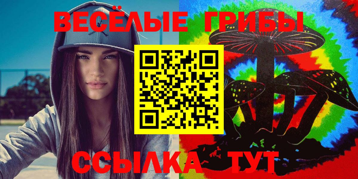 Галлюциногенные грибы ЛСД  магазин  наркотиков  Раменское 