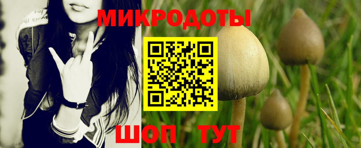 Галлюциногенные грибы ЛСД  Вход с VPN  где купить наркоту  Раменское  Псилоцибиновые грибы мухоморы 